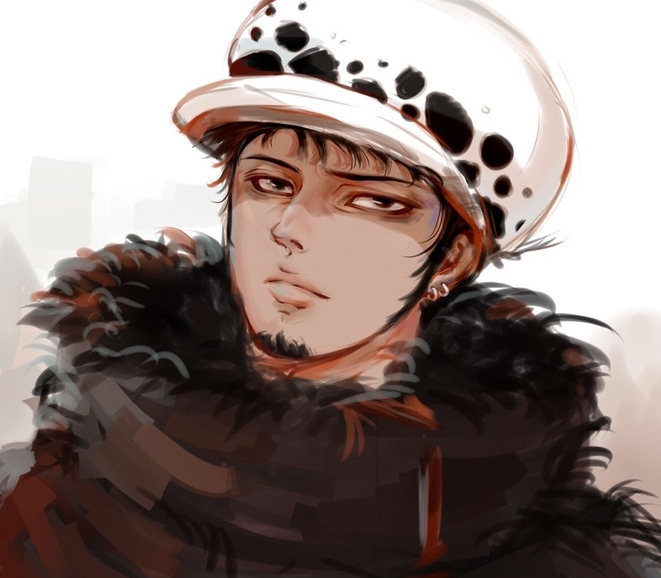 海贼王超新星11人分别有些什么能力?