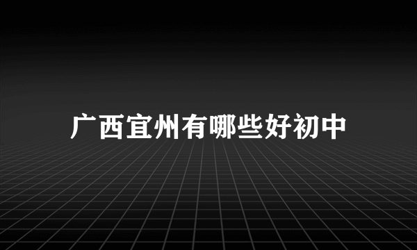 广西宜州有哪些好初中
