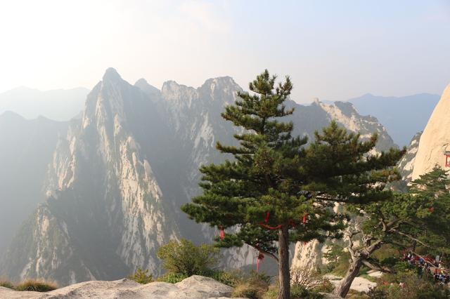 “寿比南山”一词中的“南山”是指哪里?