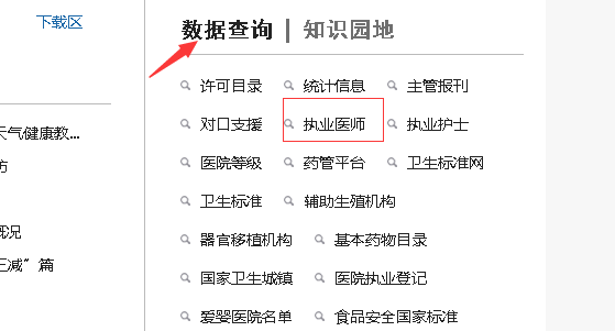 怎样通过执业医师查询系统查询注册信息?