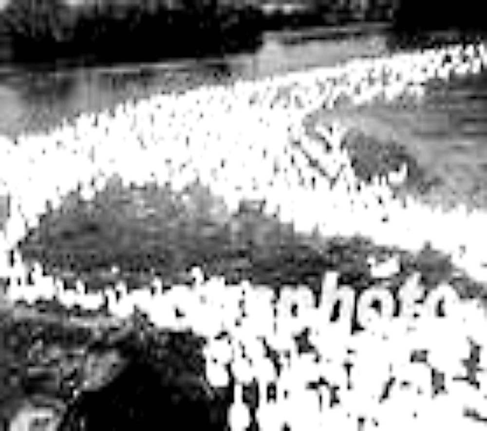 什么是散养?我国家禽散养的现状如何?