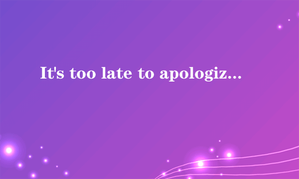 It's too late to apologize, it's too late. 是哪一首歌的名字?