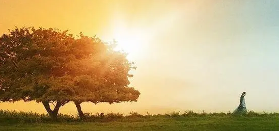 办公室有创意的群名称有哪些？