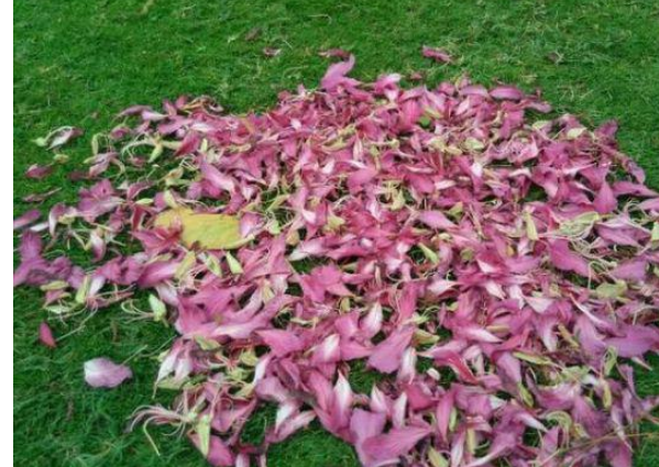 人生不在初相逢洗尽铅华也从容的解释是什么?