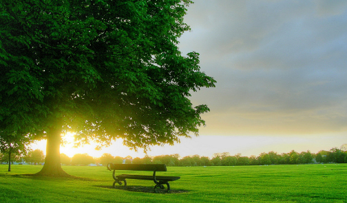 关于清明祭祖的诗句有哪些?
