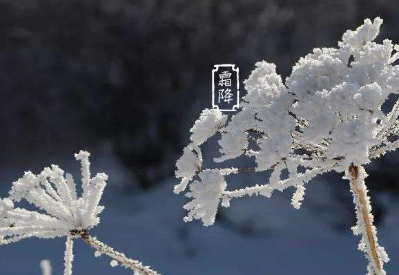 赋得九月尽 元稹 霜降三旬后,蓂馀一叶