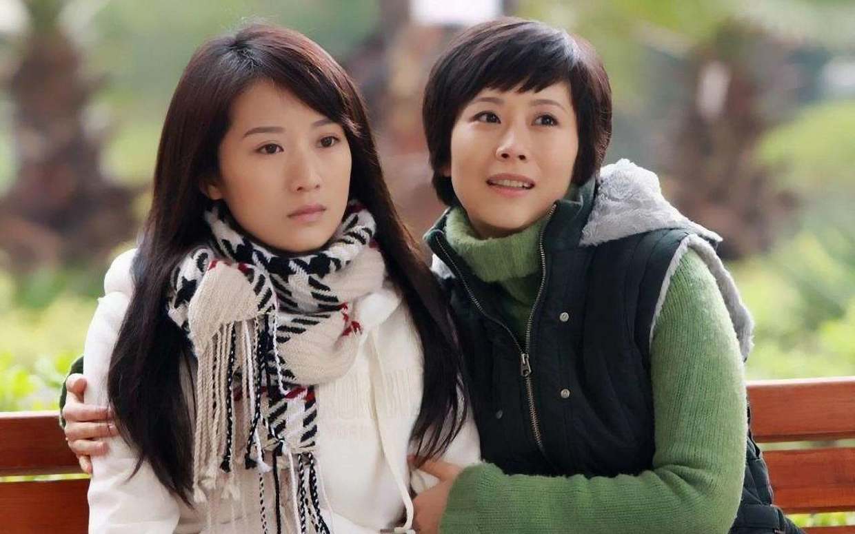 文章在《蜗居》中的演技如何?