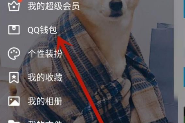 怎么更改QQ上已经设置的身份证号码?