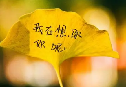 “米修”是什么意思?