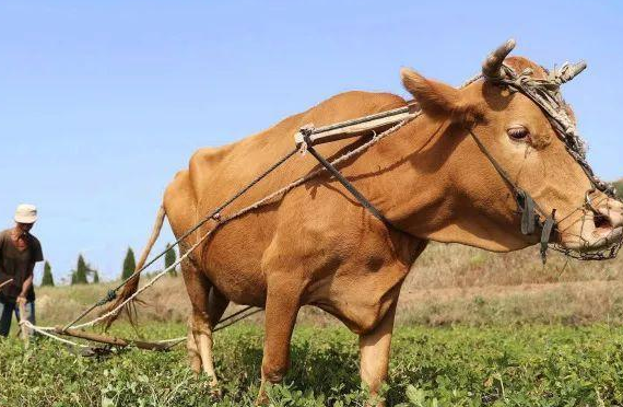 累得像什么造句？