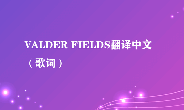 VALDER FIELDS翻译中文(歌词)