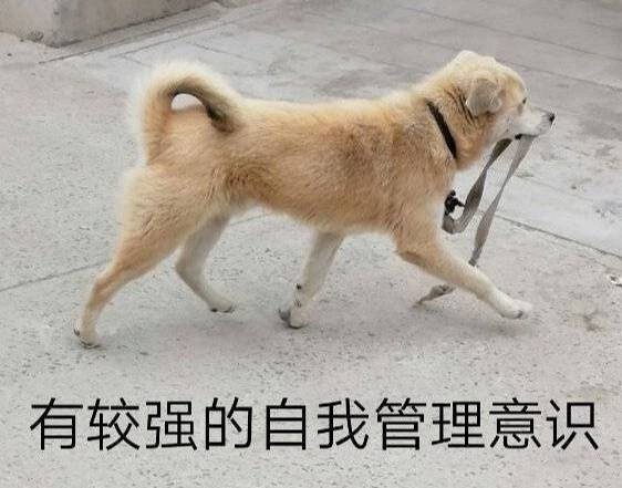 春雨如丝形容什么生肖，或者指着什么？