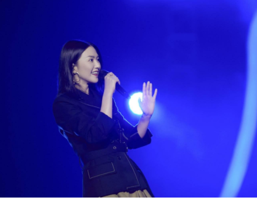 谭维维的《谭某某》里的歌词是什么意思?