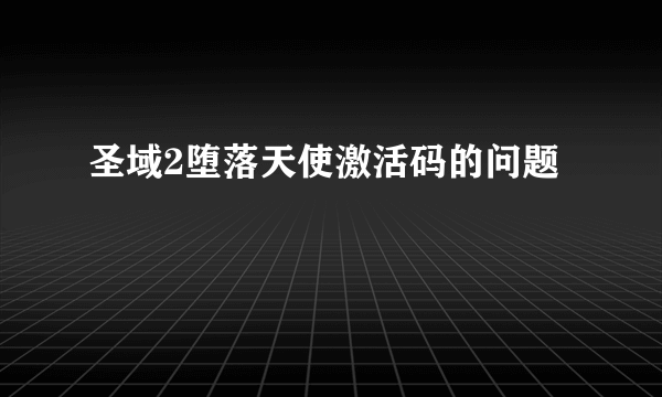 圣域2堕落天使激活码的问题