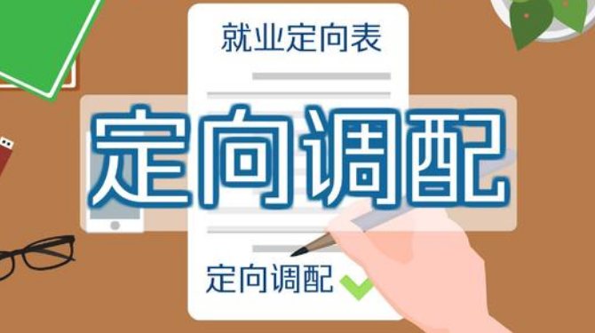 专业调配,定向调配是什么意思?