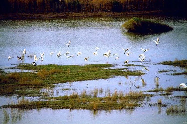 常德有啥好玩的地方