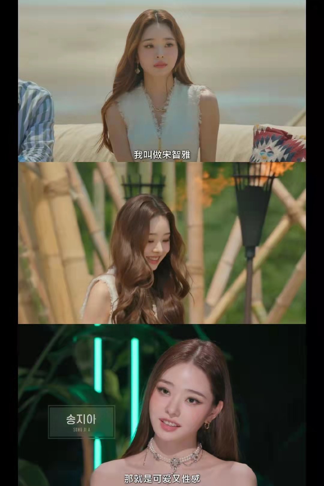 韩剧单身即地狱在哪里看