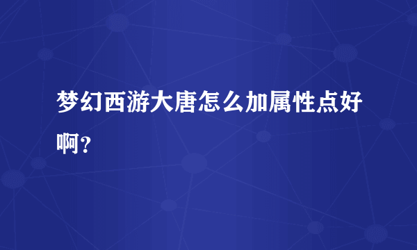 梦幻西游大唐怎么加属性点好啊?