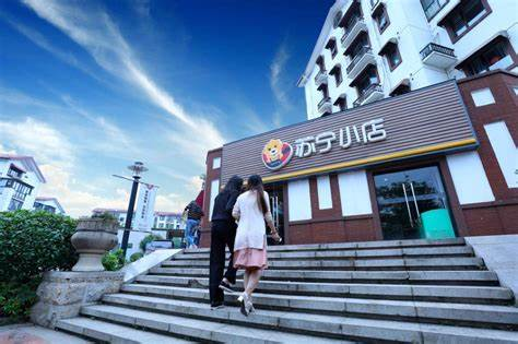 苏宁辟谣资金链断裂,你认为其真实性有多大?