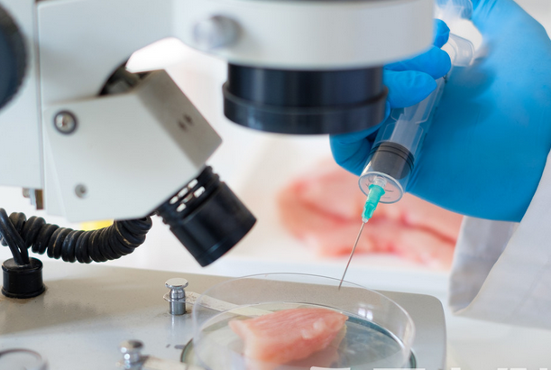 太空人造肉意味着什么?怎么做成的?