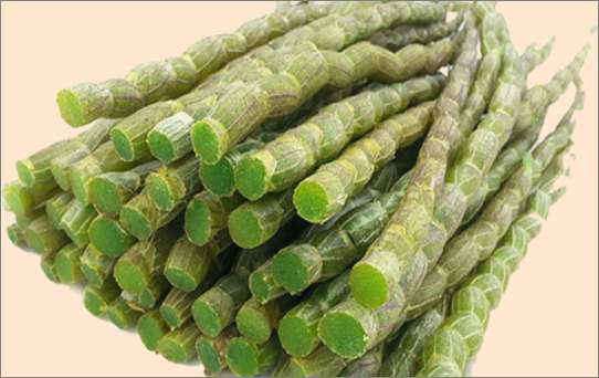 霍山石斛多少钱一公斤?