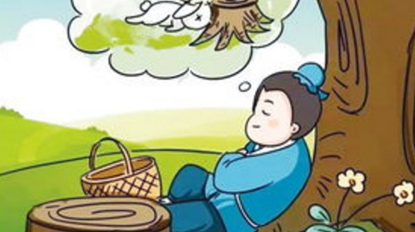 守株待兔有什么启示