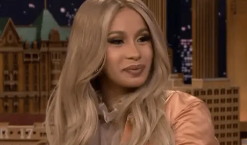 卡姐的歌曲《wap》翻译成中文是怎么样的?