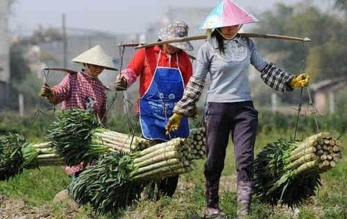 农村的留守妇女,为什么最怕外出打工的丈夫突然回家?