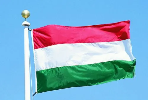 绿白红是哪个国家的国旗?
