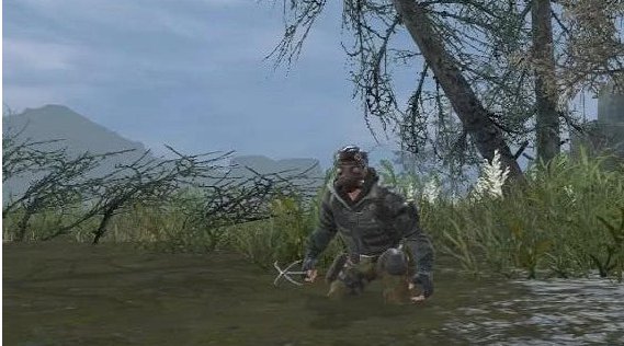 沼泽地人沉到哪里去了?