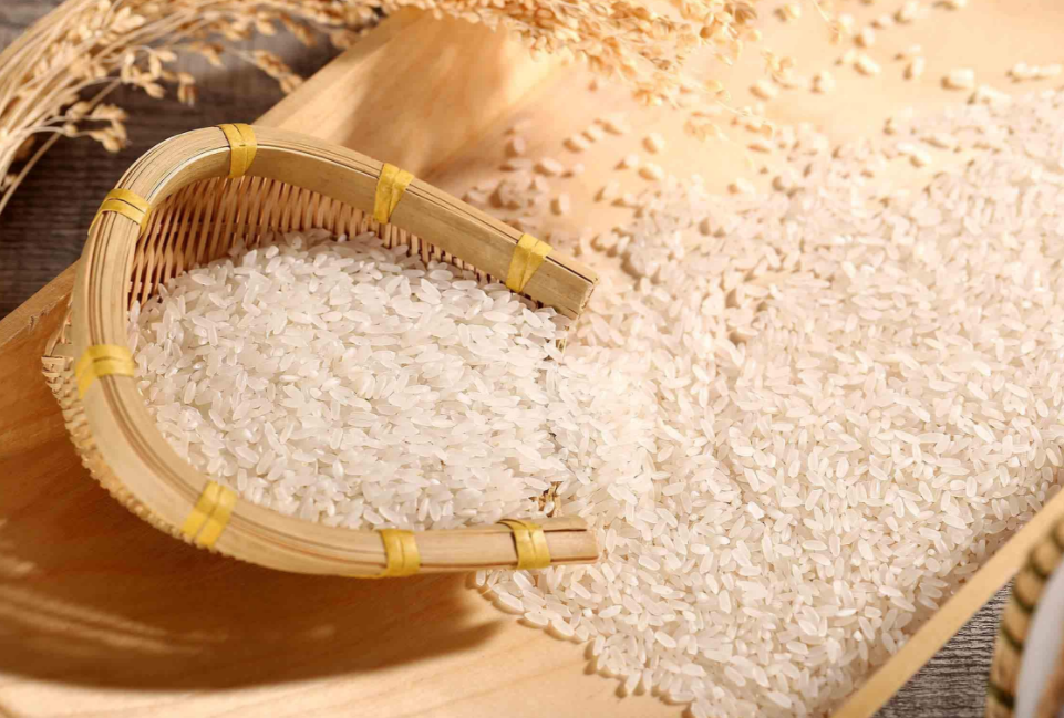 rice的复数形式是什么?