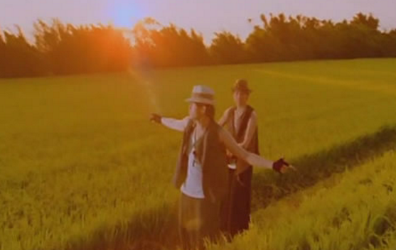 有哪些好听的欢快的歌曲?