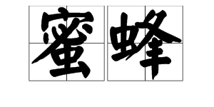 “蜜蜂”的拼音是什么?