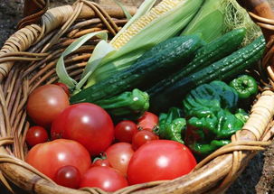 甘油三酯超标,吃什么食物可以降低?