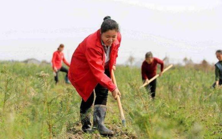 农村的留守妇女,为什么最怕外出打工的丈夫突然回家?