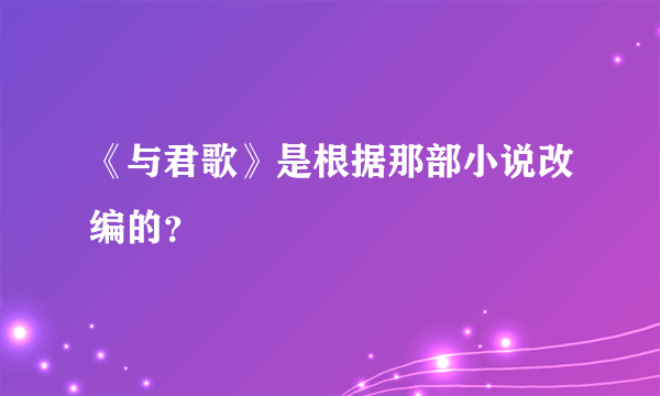 《与君歌》是根据那部小说改编的?