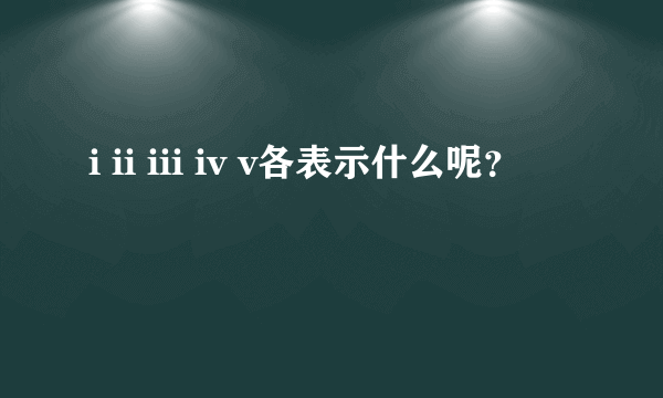 i ii iii iv v各表示什么呢？
