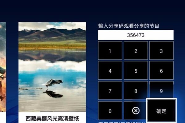 网络电视怎样才能看央视