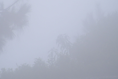 雾是怎么形成的??