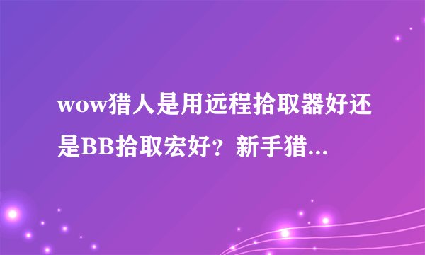 wow猎人是用远程拾取器好还是BB拾取宏好？新手猎人求详细说明一下~