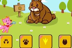 各种小动物的脚印都是怎么样的?