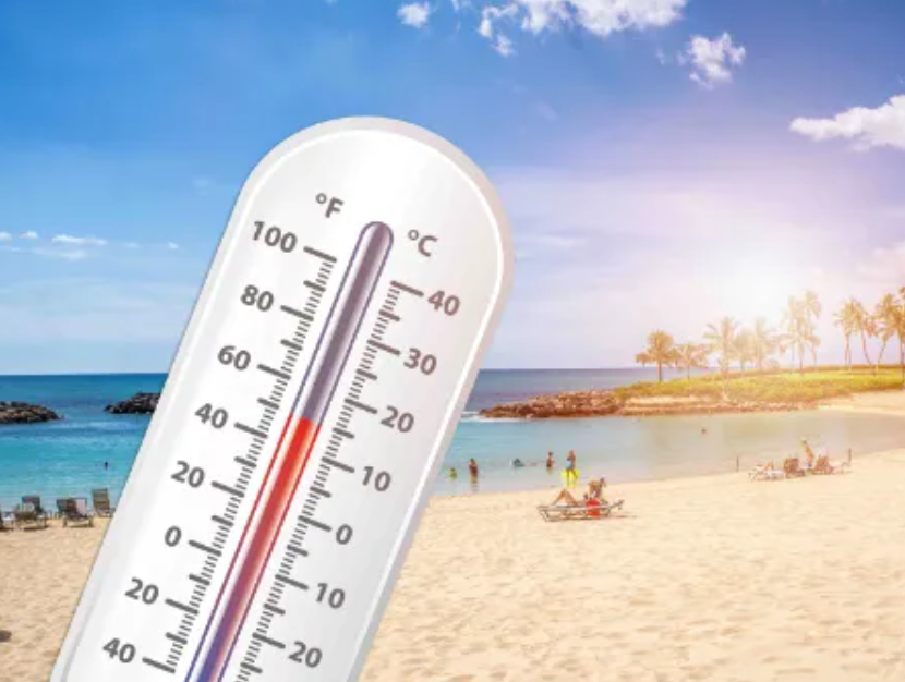 热死了心情说说图片