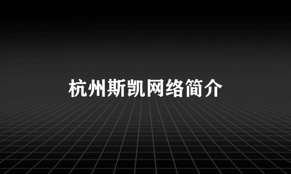 杭州斯凯网络简介