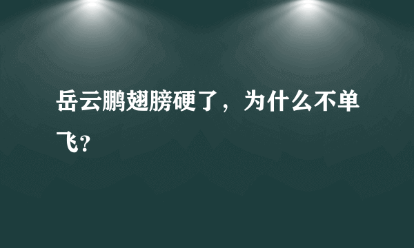 岳云鹏翅膀硬了，为什么不单飞？