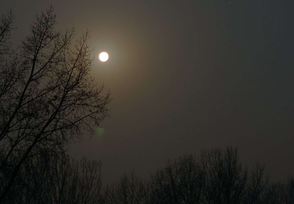 寂寞沙洲冷 歌词