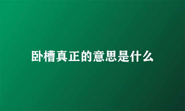 卧槽真正的意思是什么