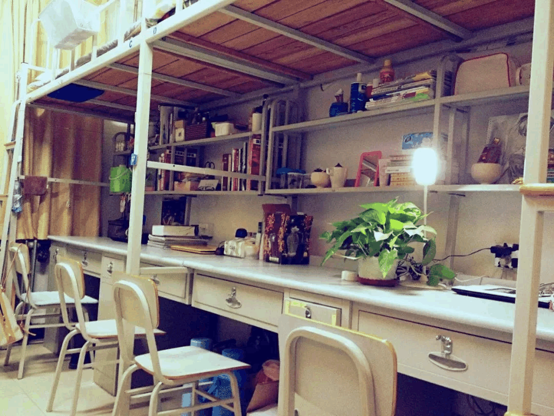 河北高校天价宿舍高校住宿收费一学期1万6，为什么收费如此之高？