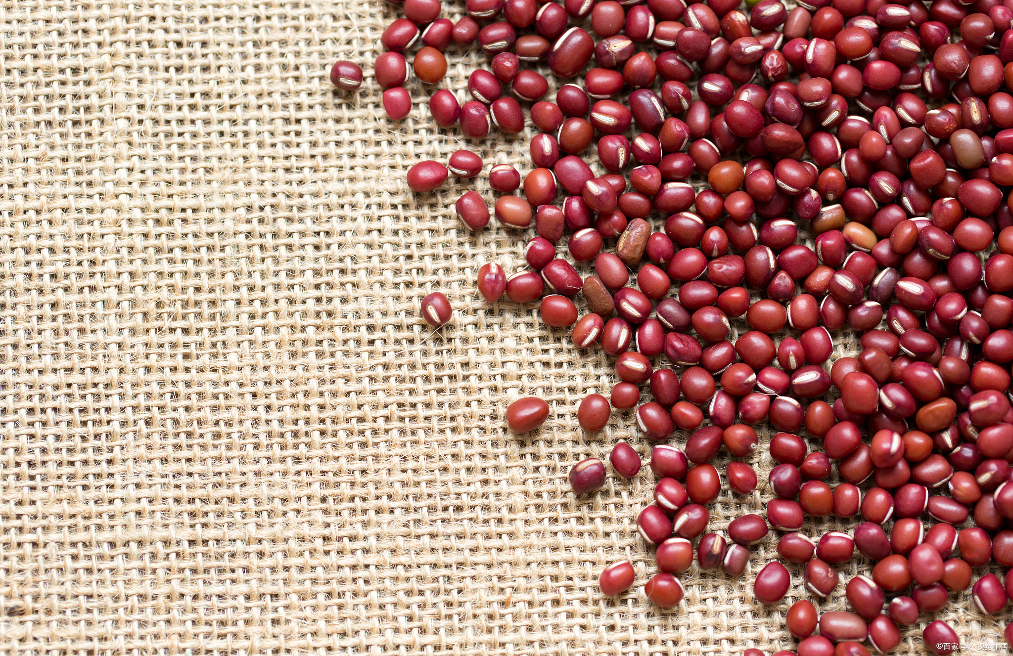 食品流通许可证怎么办