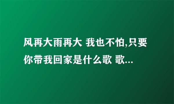 风再大雨再大 我也不怕,只要你带我回家是什么歌 歌名是什么