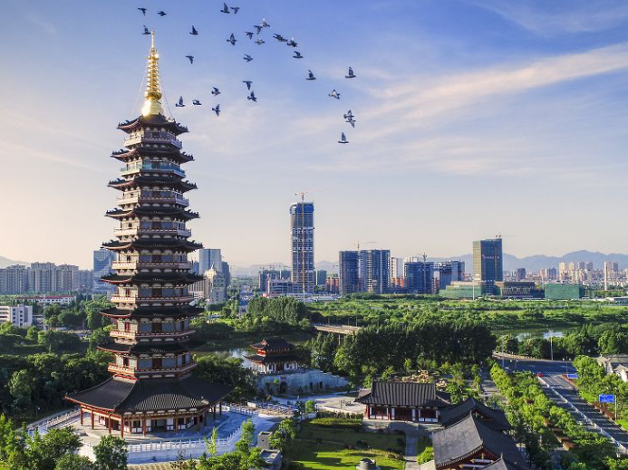 浙g是哪里的车牌号码